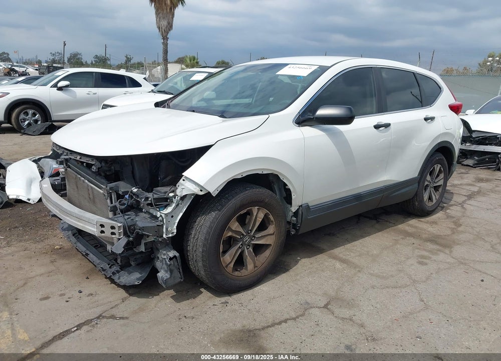 2017 HONDA CR-V LX VIN: 2HKRW5H34HH400806