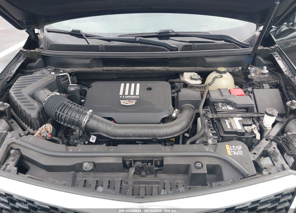 2021 CADILLAC XT5 VIN: 1GYKNAR48MZ145613