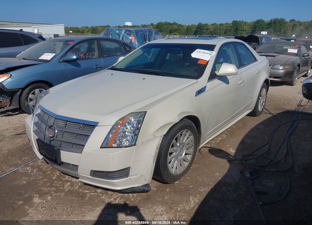 2011 CADILLAC CTS VIN: 1G6DG5EY9B0110317