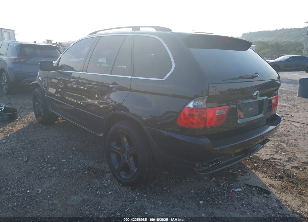 2006 BMW X5 VIN: 5UXFB53576LV29234
