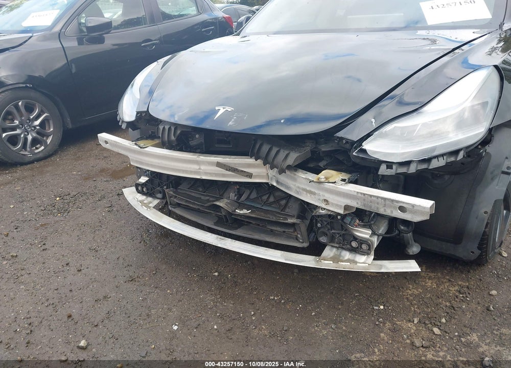 2021 TESLA MODEL 3 VIN: 5YJ3E1EB3MF081212