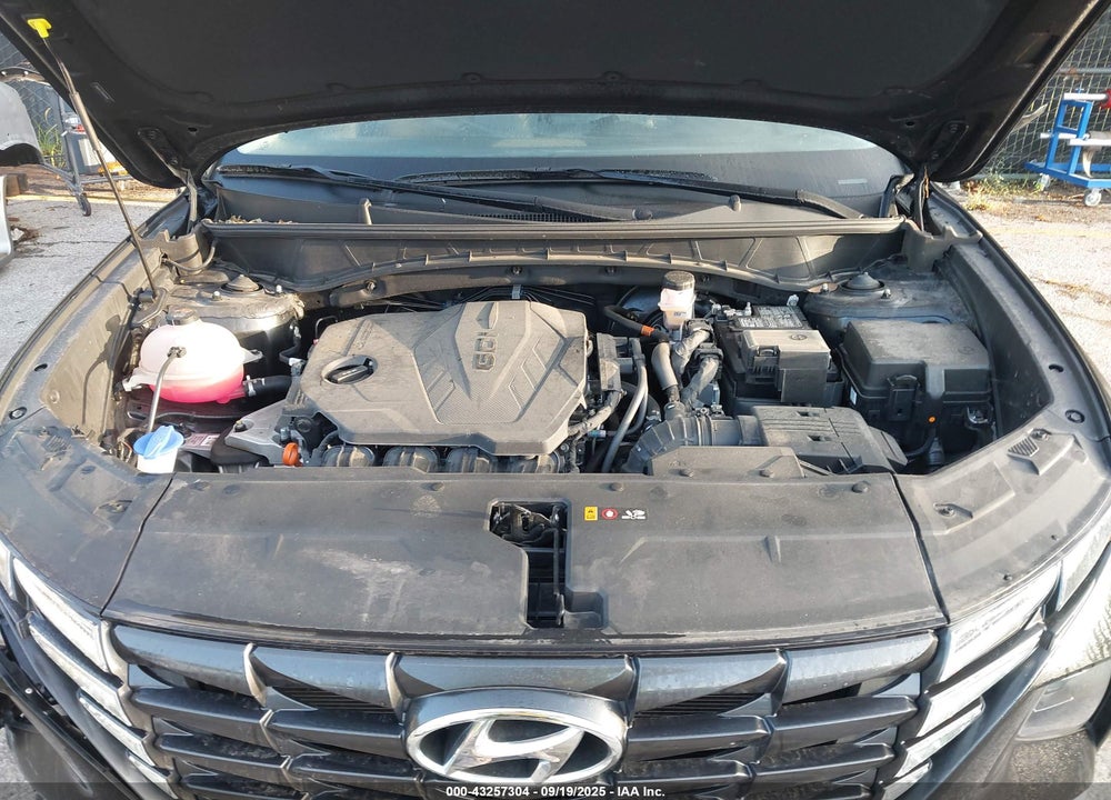 2024 HYUNDAI TUCSON SEL VIN: 5NMJBCDE5RH349447