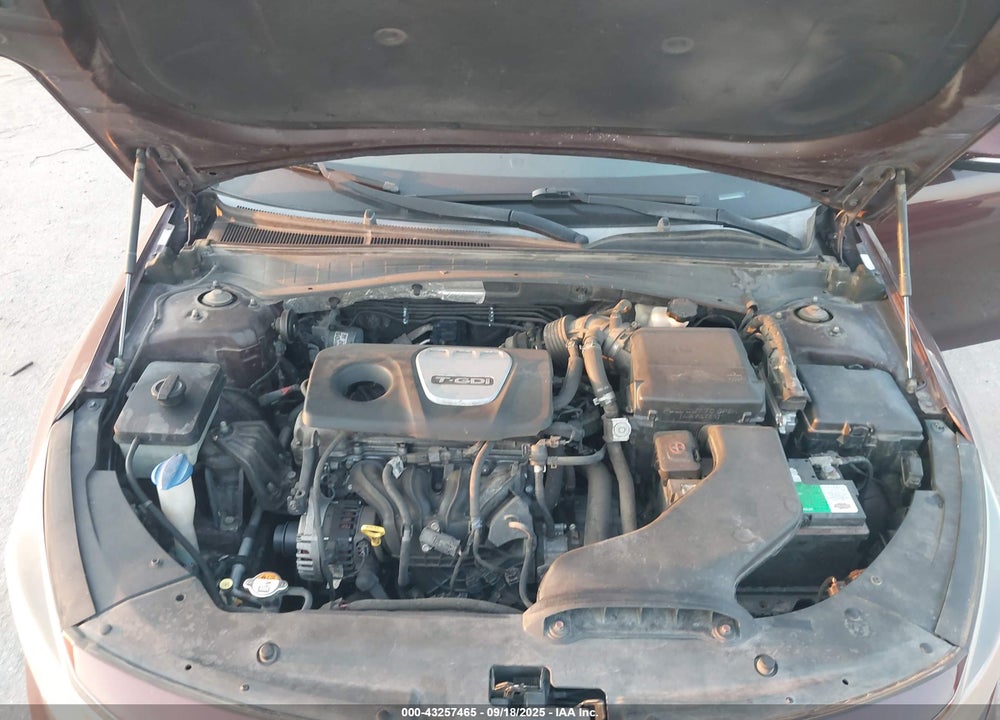 2016 KIA OPTIMA VIN: 5XXGT4L10GG103655
