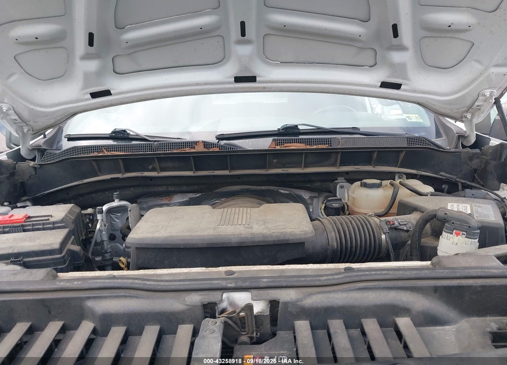 2019 CHEVROLET SILVERADO 1500 VIN: 1GCRWAEF2KZ298462