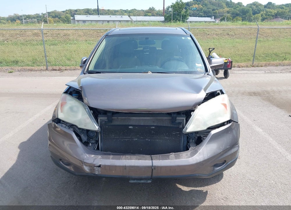 2010 HONDA CR-V VIN: 5J6RE3H77AL028917