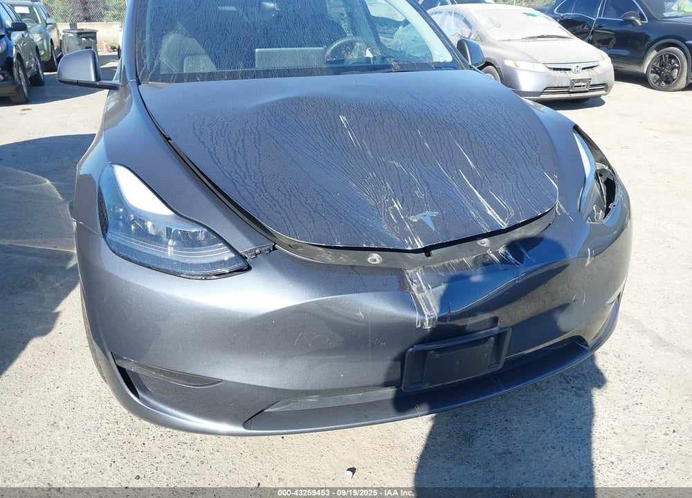 2023 TESLA MODEL Y VIN: 7SAYGDEE9PF922212