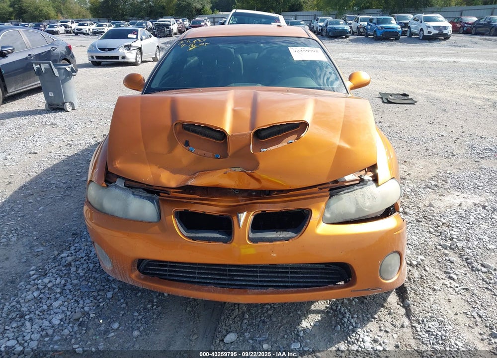 2006 PONTIAC GTO VIN: 6G2VX12U96L829106