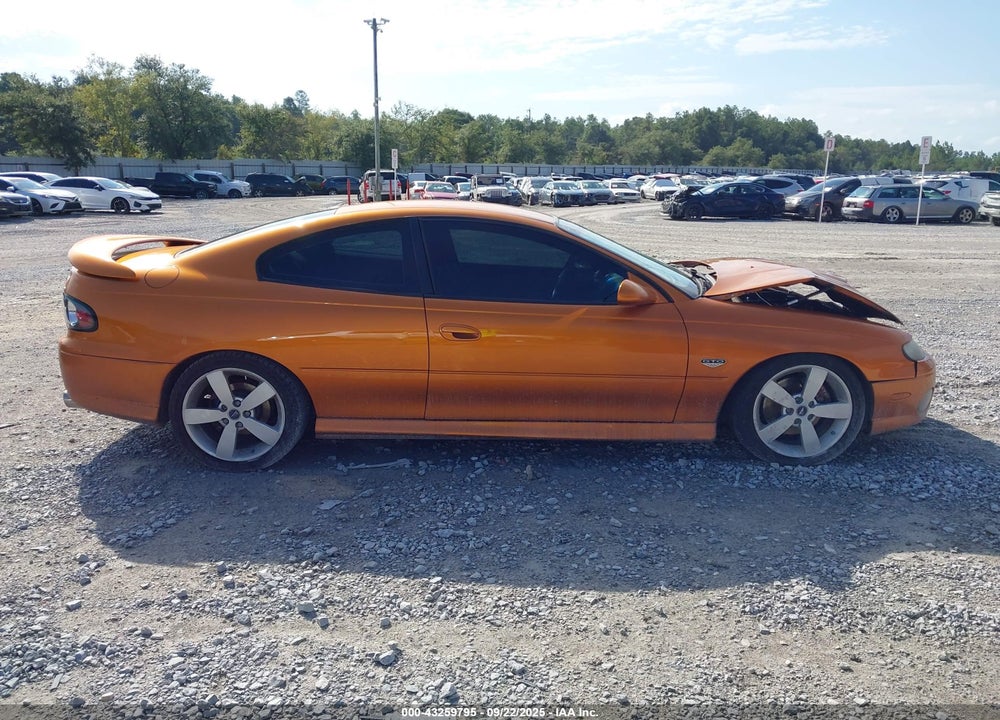 2006 PONTIAC GTO VIN: 6G2VX12U96L829106