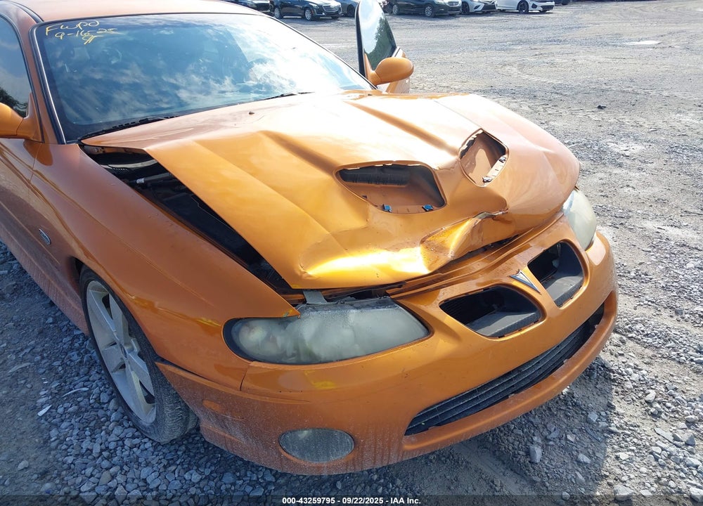 2006 PONTIAC GTO VIN: 6G2VX12U96L829106