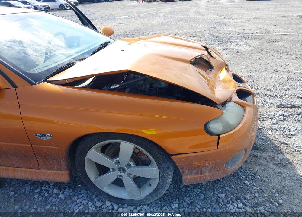 2006 PONTIAC GTO VIN: 6G2VX12U96L829106