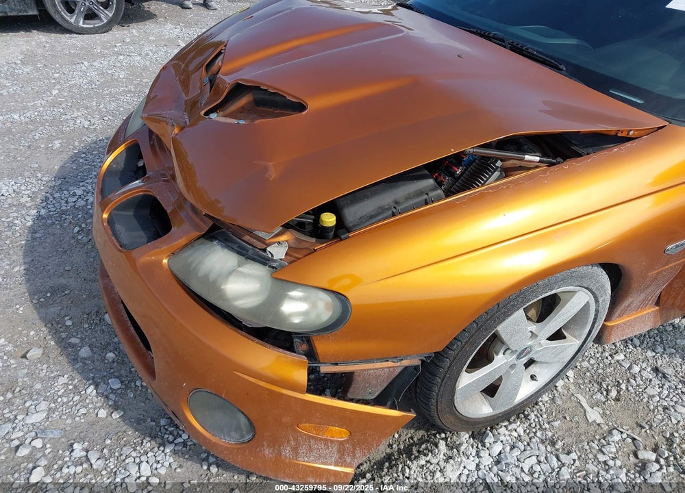 2006 PONTIAC GTO VIN: 6G2VX12U96L829106