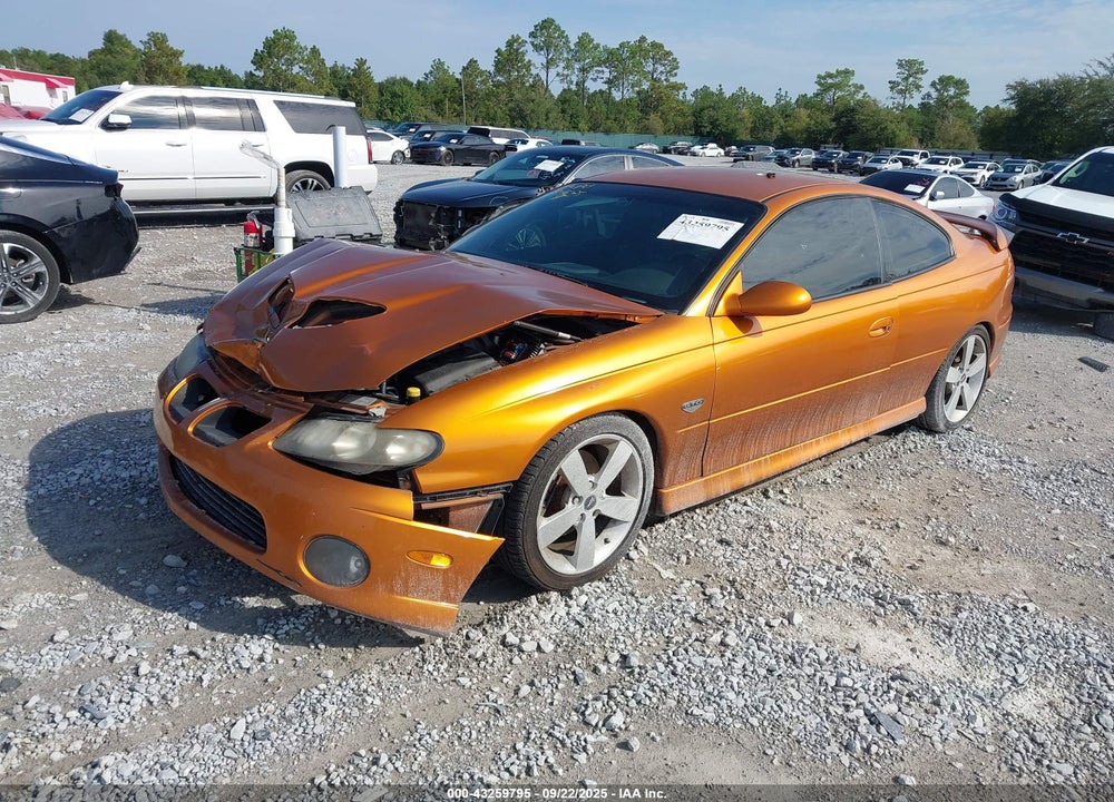 2006 PONTIAC GTO VIN: 6G2VX12U96L829106