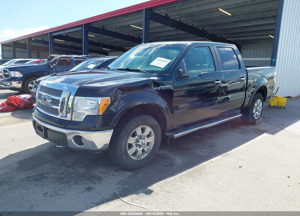 2010 FORD F-150 VIN: 1FTFW1EV1AFB14641