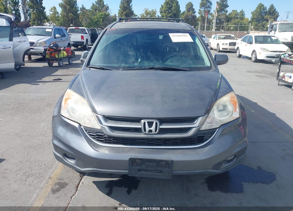 2010 HONDA CR-V EX-L VIN: JHLRE4H79AC015679