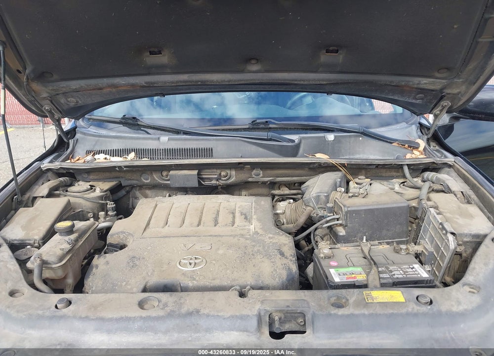 2006 TOYOTA RAV4 VIN: JTMZK32V865004367