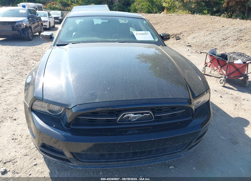 2014 FORD MUSTANG VIN: 1ZVBP8AM2E5247130
