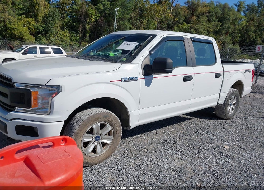2019 FORD F-150 VIN: 1FTEW1EP7KFA11822