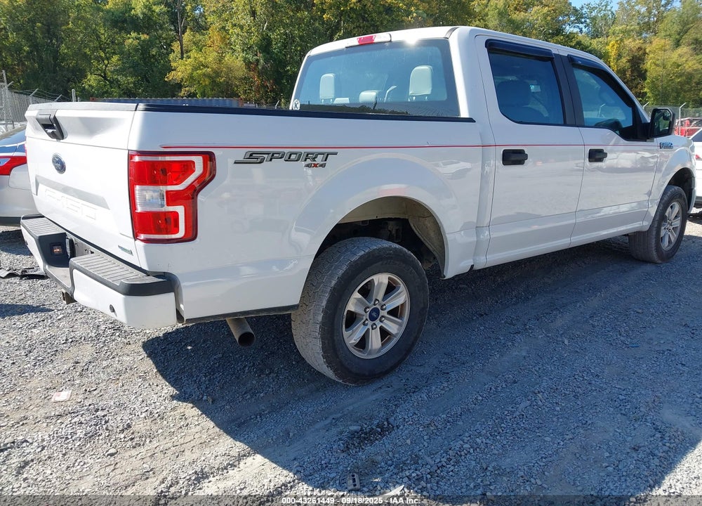 2019 FORD F-150 VIN: 1FTEW1EP7KFA11822