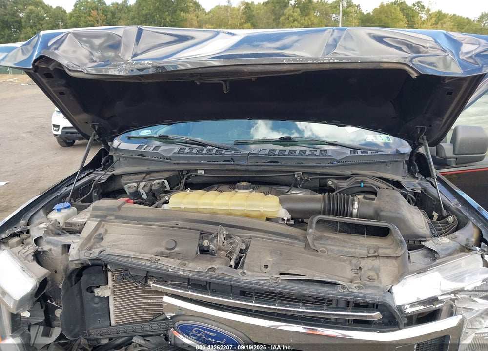 2020 FORD F-150 VIN: 1FTEW1E46LKD04562