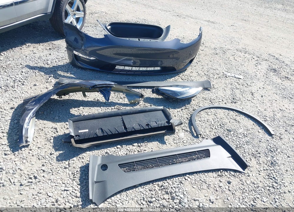 2023 TESLA MODEL Y VIN: 7SAYGDEE2PF929129