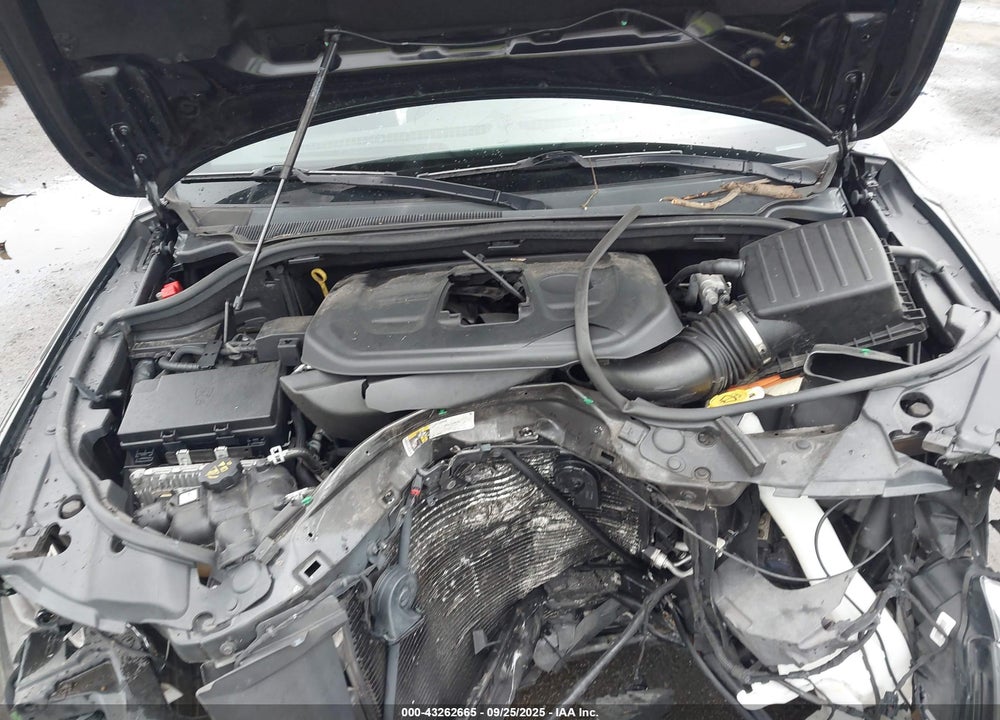 2019 JEEP GRAND CHEROKEE VIN: 1C4RJFBG0KC761548