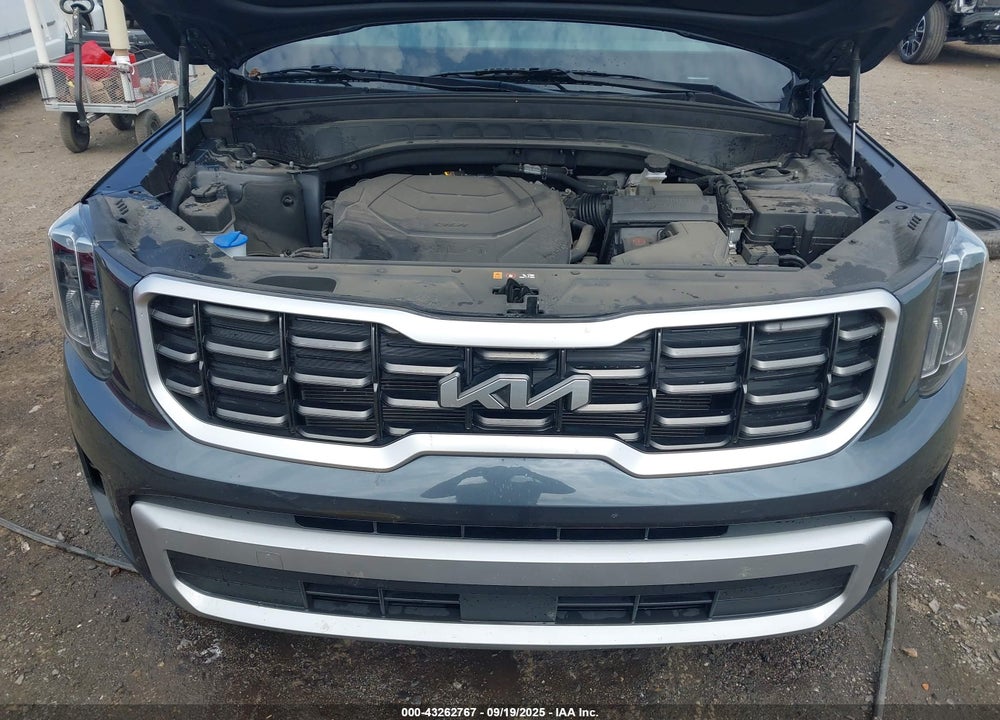 2023 KIA TELLURIDE VIN: 5XYP6DGC9PG397409