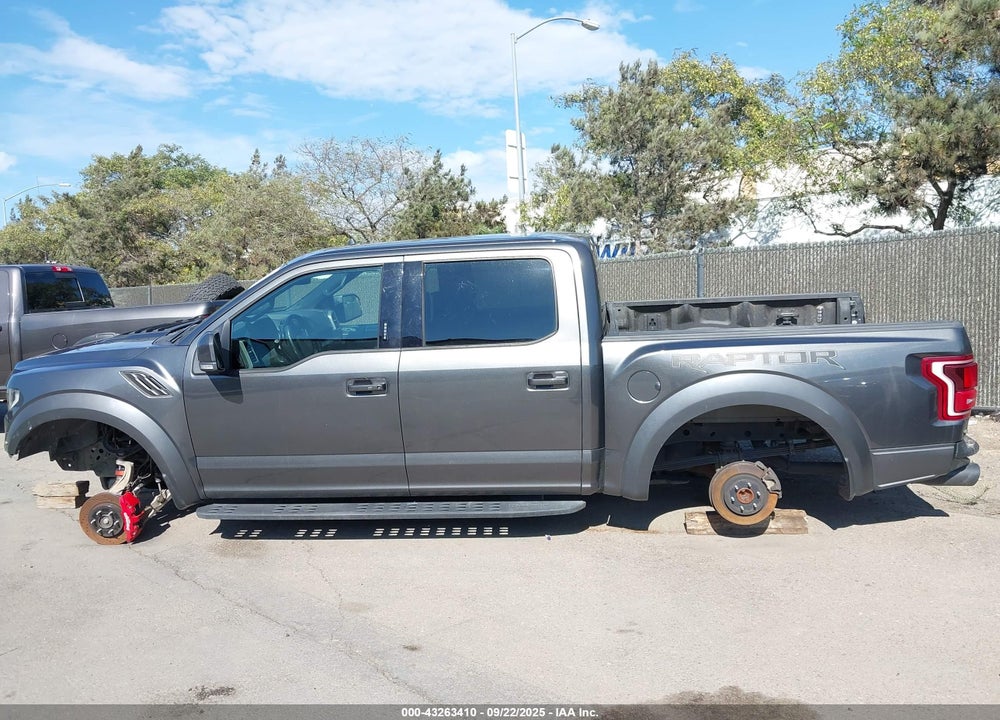 2019 FORD F-150 RAPTOR VIN: 1FTFW1RG1KFB81981
