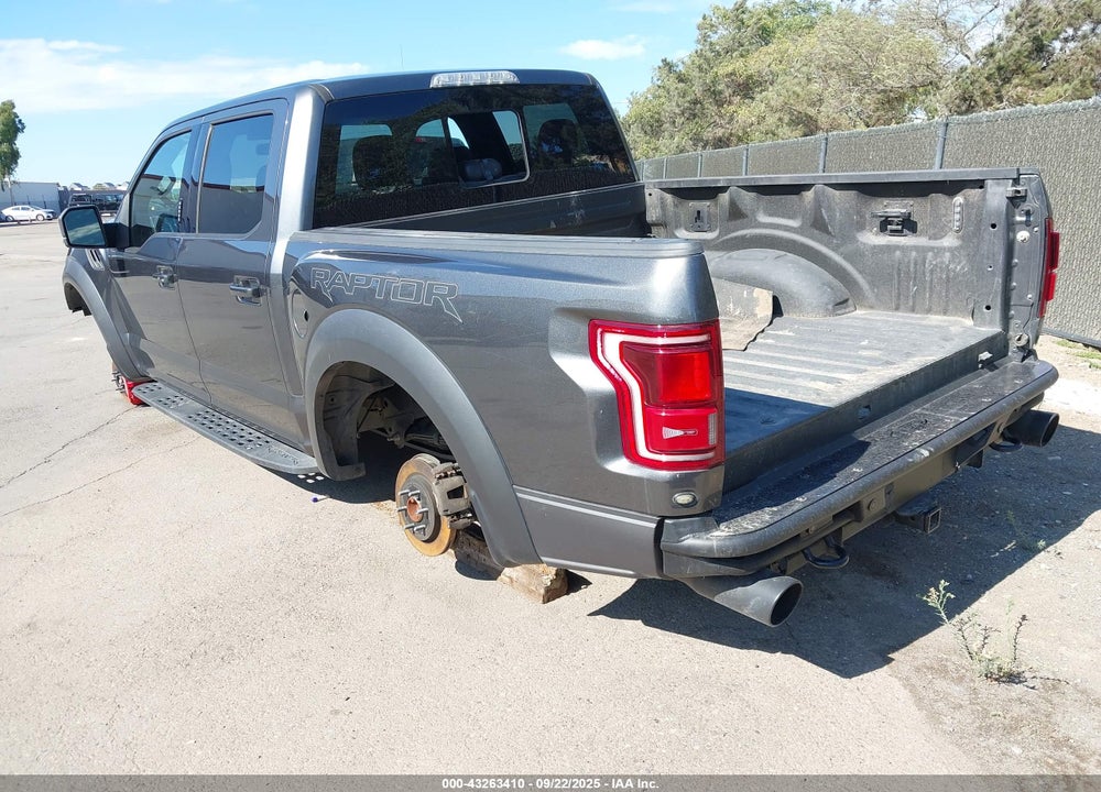 2019 FORD F-150 RAPTOR VIN: 1FTFW1RG1KFB81981