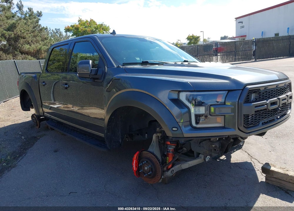 2019 FORD F-150 RAPTOR VIN: 1FTFW1RG1KFB81981