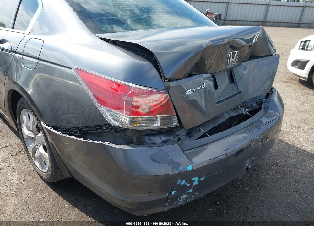 2010 HONDA ACCORD VIN: 1HGCP2F81AA183567