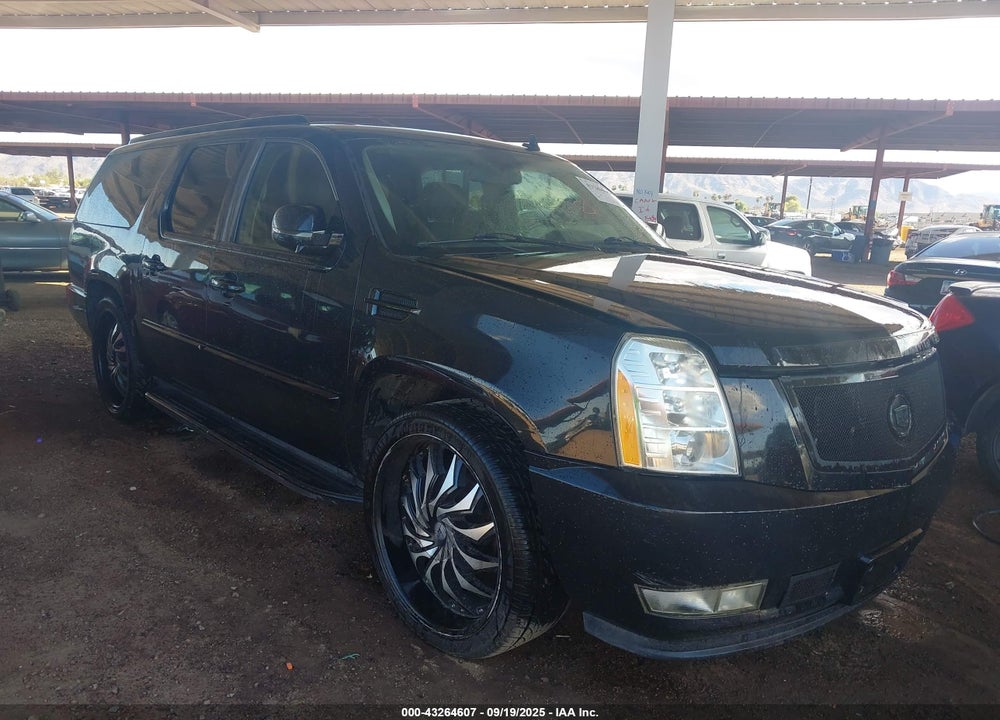2009 CADILLAC ESCALADE ESV STANDARD VIN: 1GYFC16289R244241