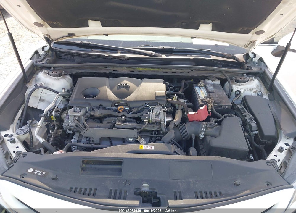 2019 TOYOTA CAMRY SE VIN: 4T1B11HK9KU780802