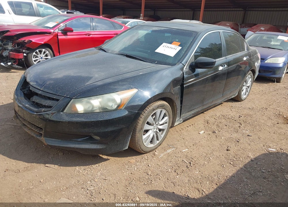 2011 HONDA ACCORD VIN: 1HGCP3F81BA001373