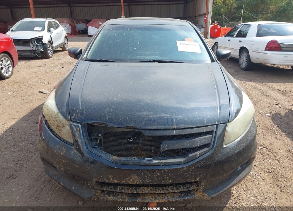 2011 HONDA ACCORD VIN: 1HGCP3F81BA001373