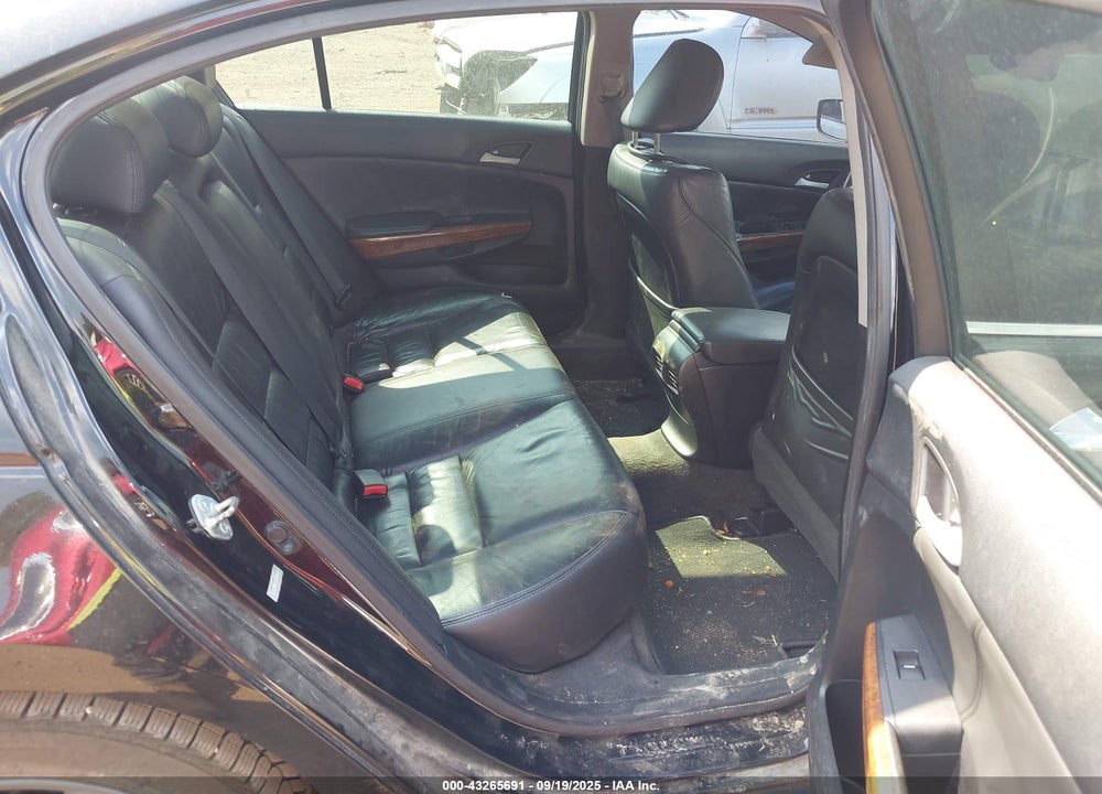 2011 HONDA ACCORD VIN: 1HGCP3F81BA001373