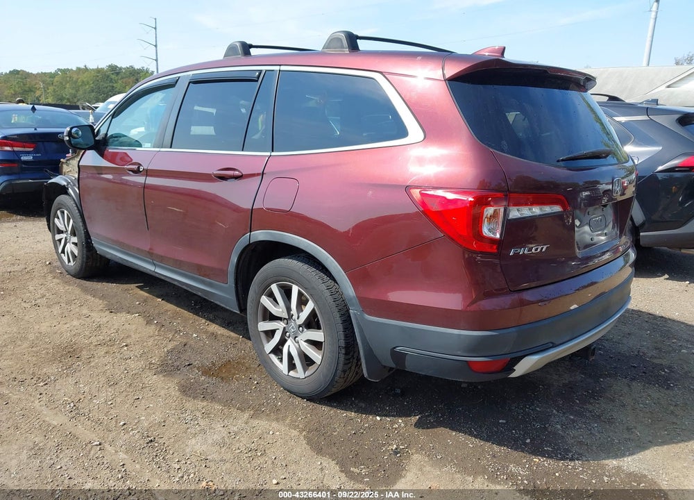 2020 HONDA PILOT VIN: 5FNYF5H59LB016556