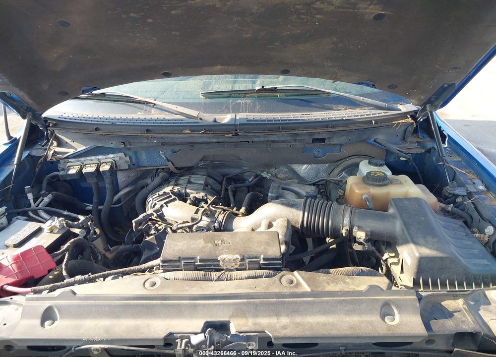 2012 FORD F-150 VIN: 1FTEW1CM1CKD08828