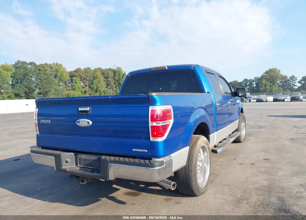 2012 FORD F-150 VIN: 1FTEW1CM1CKD08828