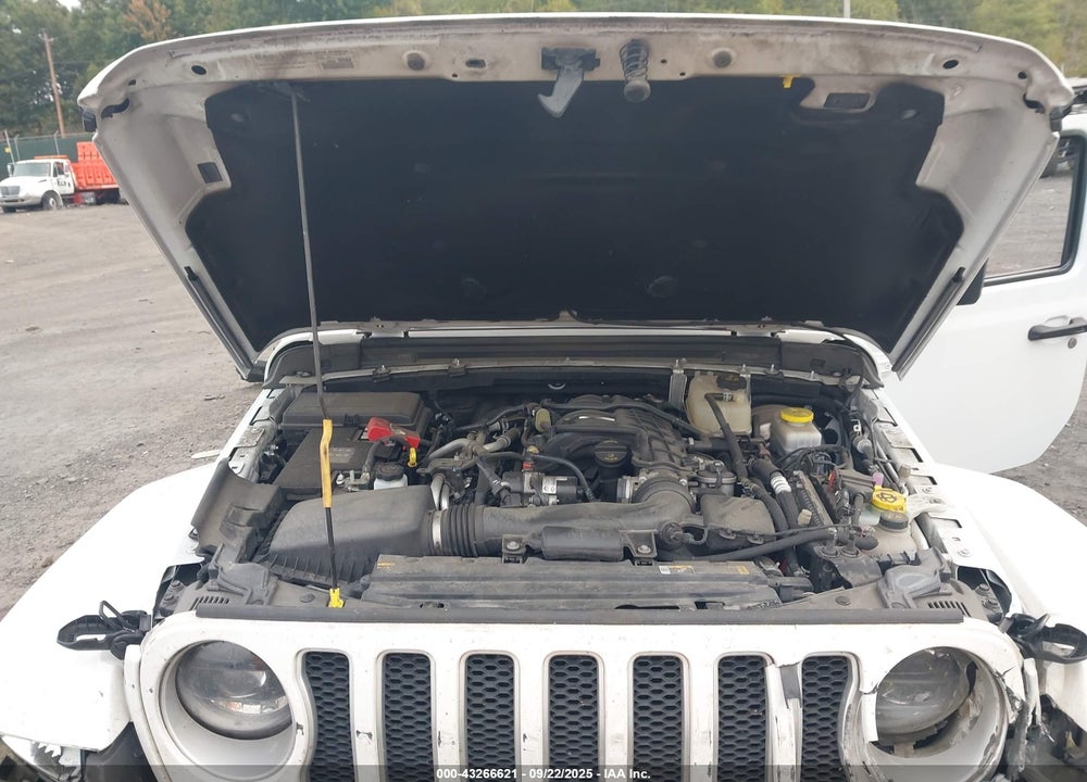 2023 JEEP WRANGLER / VIN: 1C4HJXEG9PW502267