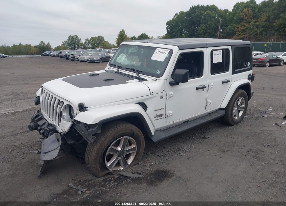 2023 JEEP WRANGLER / VIN: 1C4HJXEG9PW502267