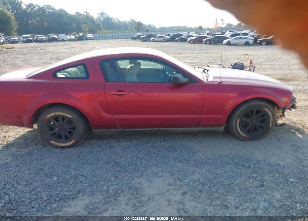 2006 FORD MUSTANG V6 VIN: 1ZVFT80NX65259213
