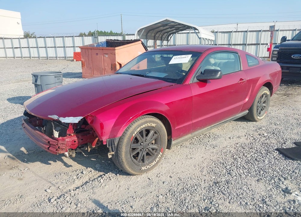 2006 FORD MUSTANG V6 VIN: 1ZVFT80NX65259213