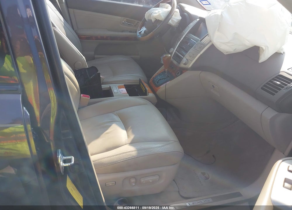 2009 LEXUS RX 350 VIN: 2T2GK31U19C067376