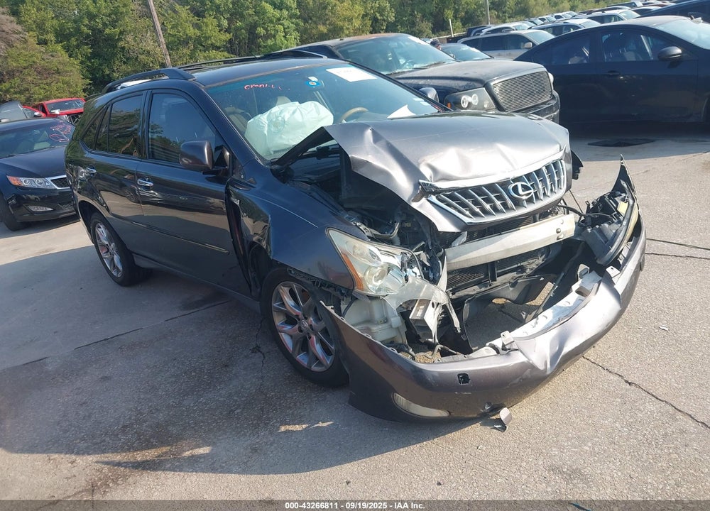 2009 LEXUS RX 350 VIN: 2T2GK31U19C067376