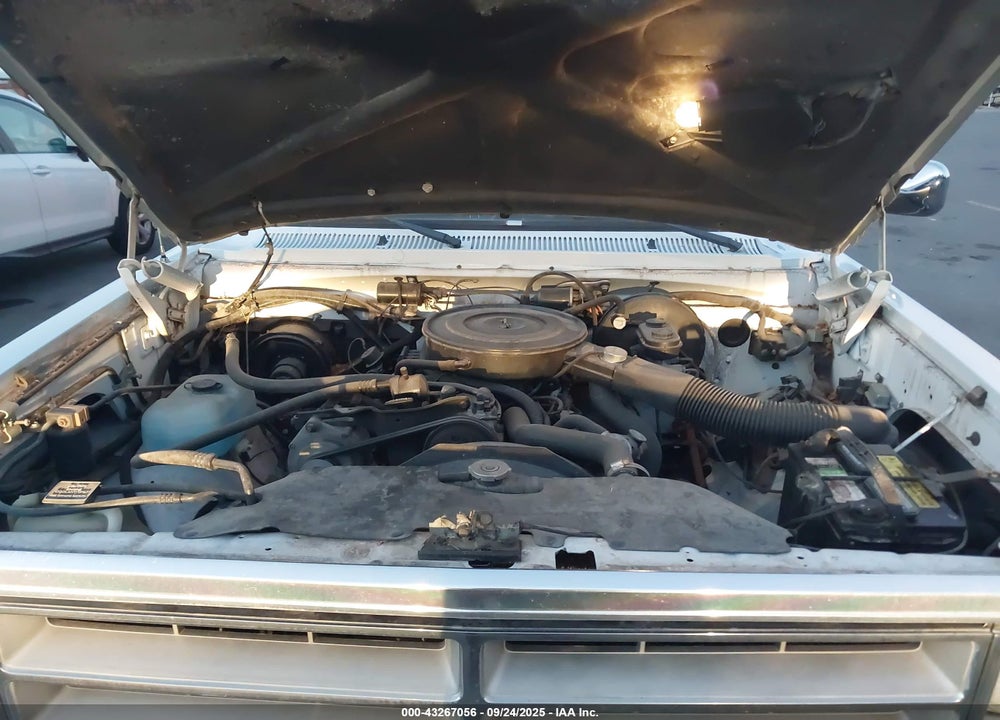 1990 DODGE D-SERIES D150 VIN: 1B7GE16YXLS600746