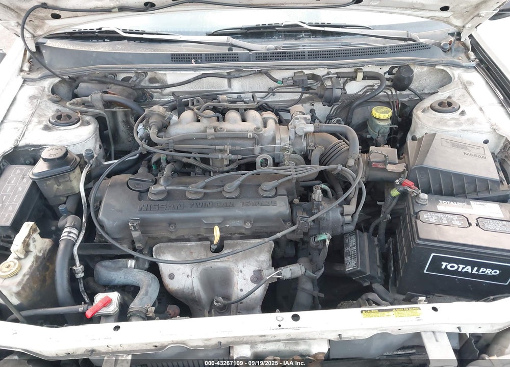 1998 NISSAN 200SX/SE VIN: 1N4AB42D2WC502642