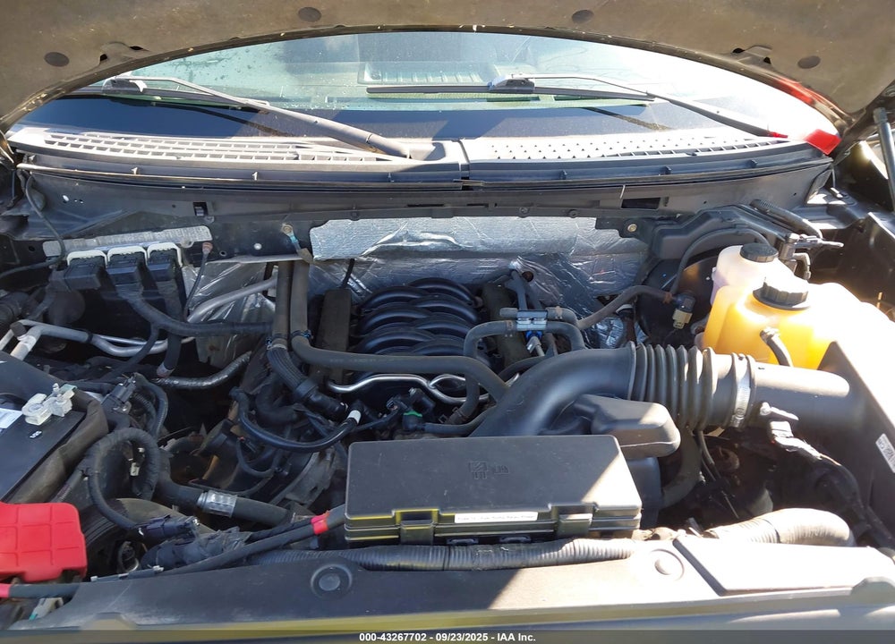 2013 FORD F-150 XLT VIN: 1FTFW1EF9DKE98382
