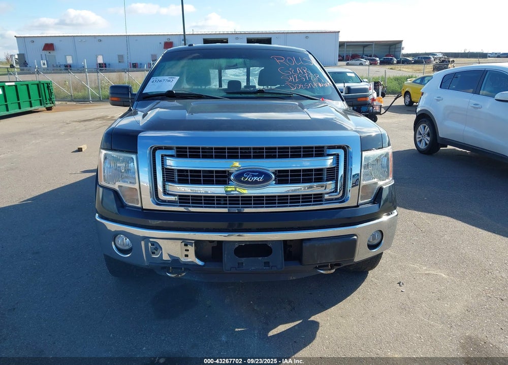 2013 FORD F-150 XLT VIN: 1FTFW1EF9DKE98382