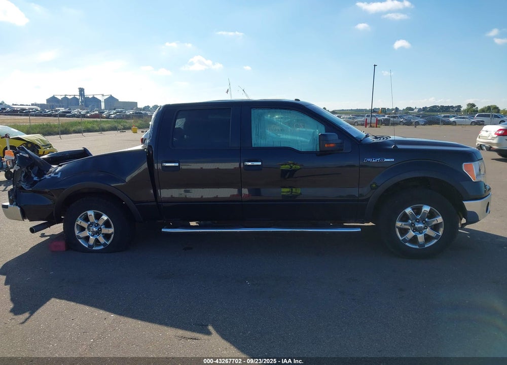 2013 FORD F-150 XLT VIN: 1FTFW1EF9DKE98382