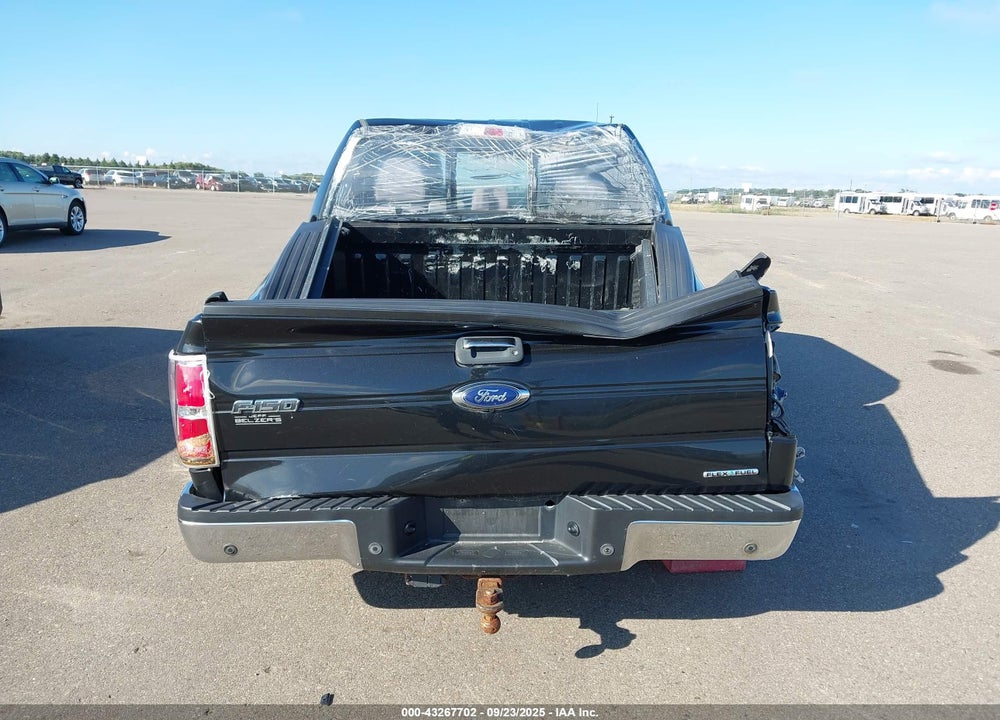 2013 FORD F-150 XLT VIN: 1FTFW1EF9DKE98382